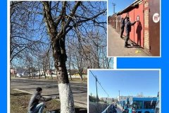 Республиканский-субботник
